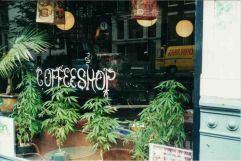 droga-coffee_shop-1